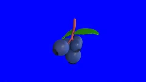 3d animation of rotating Huckleberry berries on a blue background Video stock 239852477