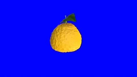 3d animation of a rotating Ugli fruit on a blue background Stock Footage 239856822