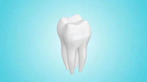 3d animation of rotating white tooth on a blue background. Seamlees loop Vidéo 95957042