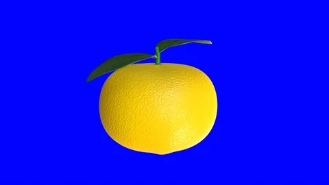 3d animation of a rotating Yuzu fruit on a blue background Stock Footage 239853422