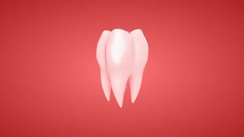 3d animation rotation tooth. Loop, alpha channel. Stock Footage 99871064