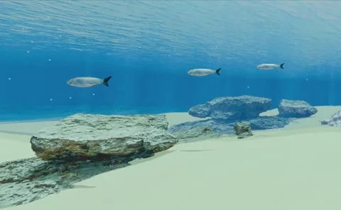 3D animation, sardines, school of fish, seabed, ocean floor, underwater, marine 動画素材 333460544