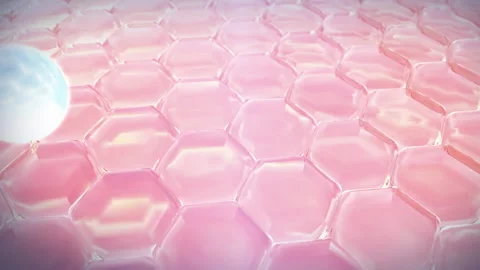 3D Animation Serum through the pink skin layer and reduce up saggy skin Stock Footage 171917637