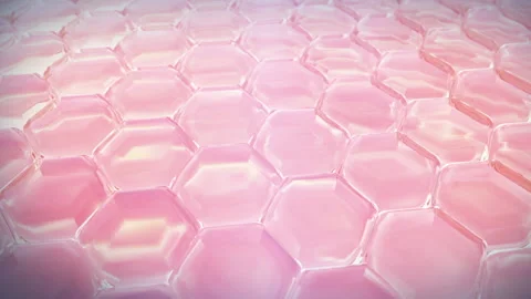 3D Animation Serum through the pink skin layer and reduce up saggy skin Stock Footage 171917669