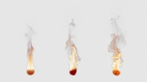 3D animation set of three types of burning fire flames. With Alpha Channel. Stock Footage 283266094