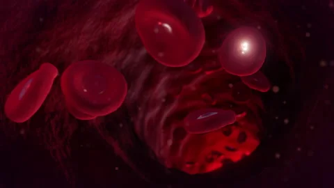 3D animation showcasing red blood cells flowing through a pulsating blood vessel Stock Footage 301385686