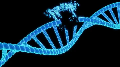 3D animation showing a localized mutation within a blue DNA double helix strand. Stock Footage 338405995
