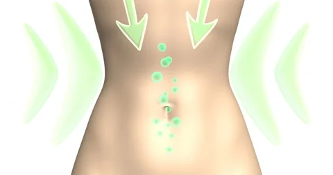 3d animation showing the probiotic action on the intestine and digestive process Stock Footage 145768170