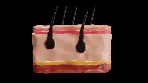 3D Animation of Skin Stock Footage 286925993