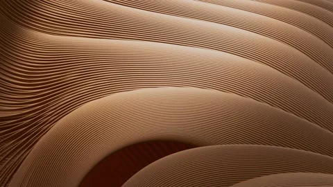 3D animation of smooth lines forming an intricate pattern that fills the frame. Video stock 328493566