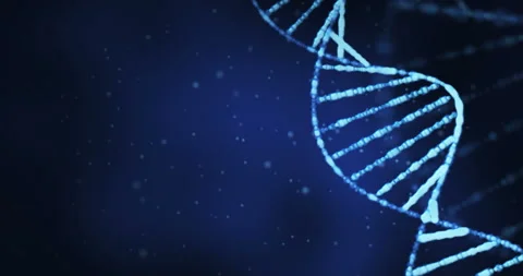 3D animation of a spinning DNA molecule (looping) Stock Footage 104157202