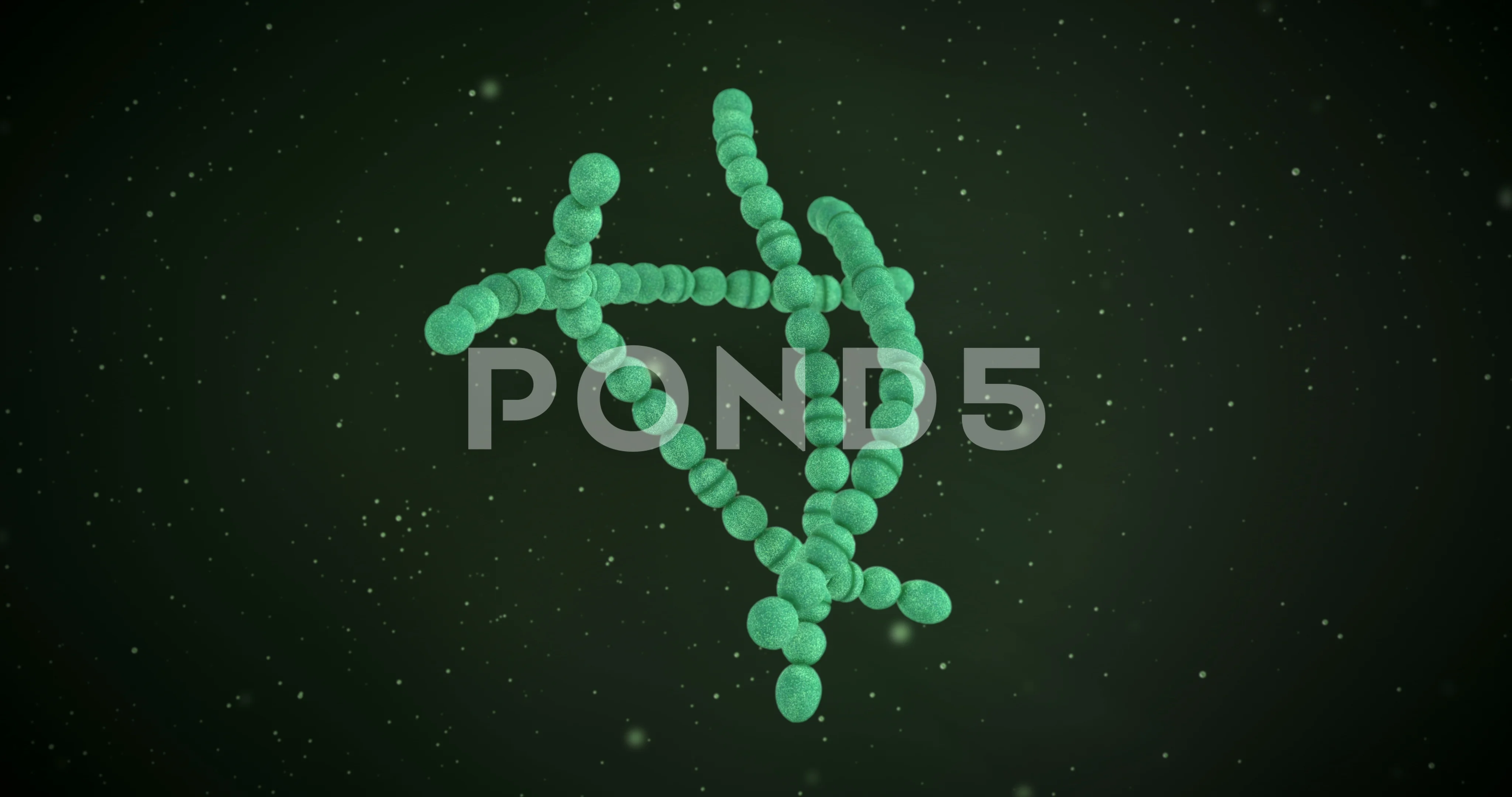 3D animation of a streptococcus pyogenes... | Stock Video | Pond5