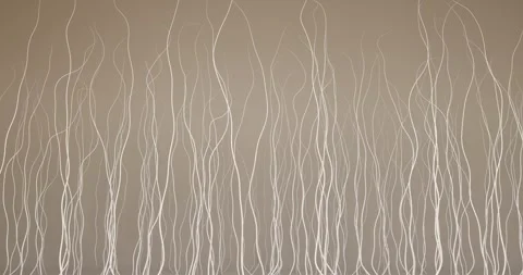 3D animation of the structure of thin white threads or hairs Stock Footage 335827036
