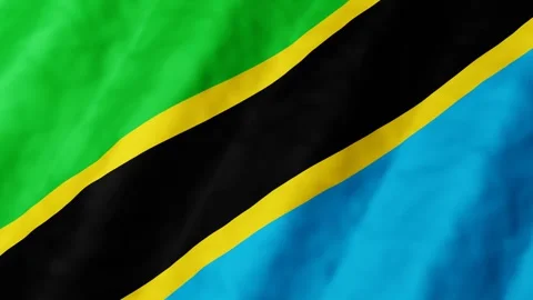3D animation of Tanzania flag waves gently seamless loop in the breeze with.. Stock Footage 346569889