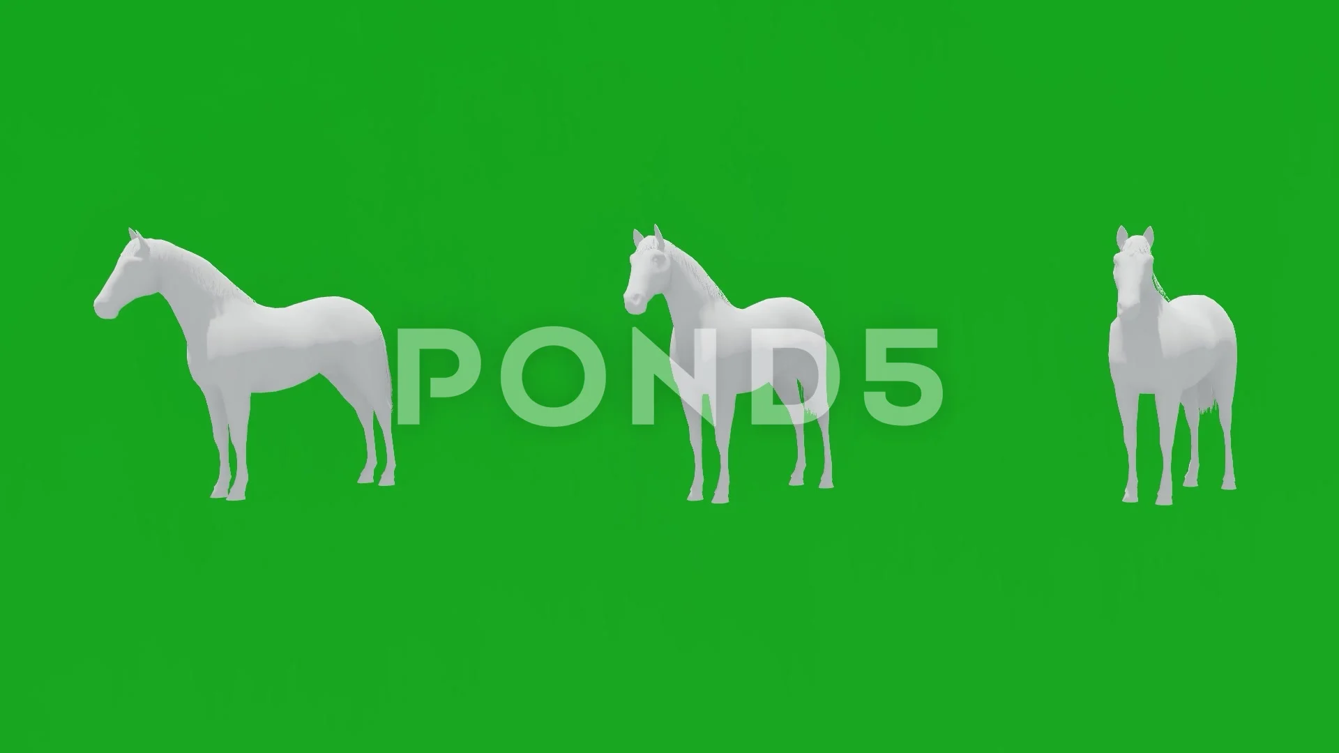 3D Horses Stock Footage ~ Royalty Free Stock Videos | Pond5