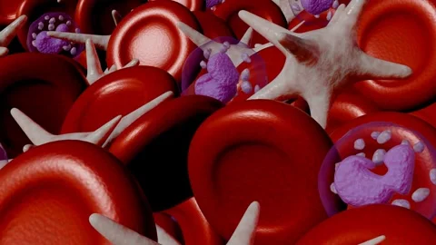 3d animation of thrombocytes and red blood cells Stock Footage 310143099