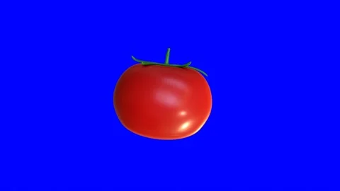 3d animation of Tomatoes on a blue background Stock Footage 239853311