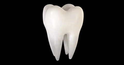 3D animation of a tooth with alpha chann... | Stock Video | Pond5