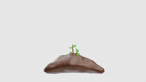 3d animation of tree growing from soil Stock Footage 332773268