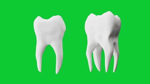 3D animation Turning of Whitening Teeth isolate on green screen. dental concept  Stock Footage 339532622