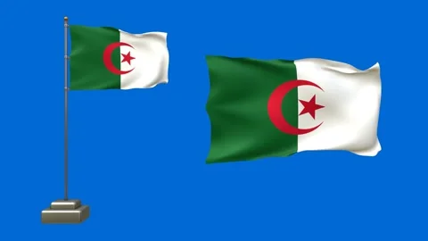 3D Animation of Two Algerian Flags on Blue Background Stock Footage 292047786