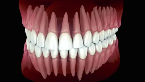 3D Animation of Upper and Lower Teeth in Transparent Mouth Stock Footage 327668747