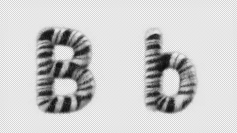 3D animation of a uppercase and lowercase Zebra woolen letter B Stock Footage 267282556