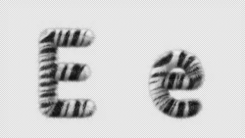 3D animation of a uppercase and lowercase Zebra woolen letter E Stock Footage 267283619