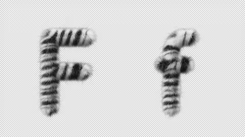 3D animation of a uppercase and lowercase Zebra woolen letter F Видео 267283976