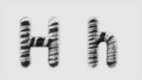 3D animation of a uppercase and lowercase Zebra woolen letter H Video stock 267284788