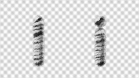 3D animation of a uppercase and lowercase Zebra woolen letter I Video stock 267285075