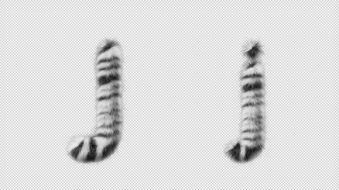 3D animation of a uppercase and lowercase Zebra woolen letter J Stock Footage 267285323