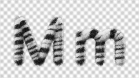 3D animation of a uppercase and lowercase Zebra woolen letter M Stock Footage 267286364