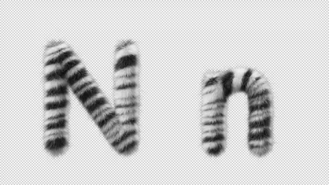 3D animation of a uppercase and lowercase Zebra woolen letter N Stock Footage 267286929