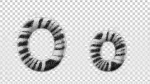 3D animation of a uppercase and lowercase Zebra woolen letter O Video stock 267287388