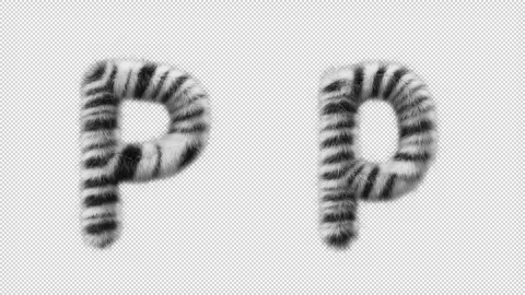 3D animation of a uppercase and lowercase Zebra woolen letter P Video stock 267287715