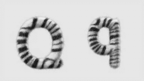 3D animation of a uppercase and lowercase Zebra woolen letter Q Stock Footage 267288133