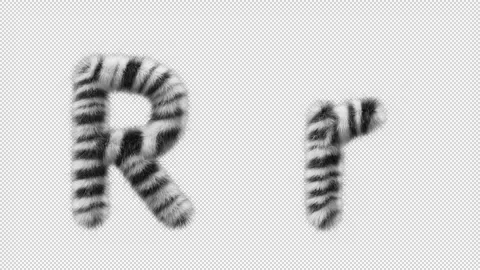 3D animation of a uppercase and lowercase Zebra woolen letter R Stock Footage 267288556