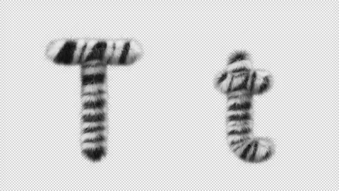 3D animation of a uppercase and lowercase Zebra woolen letter T Video stock 267289185