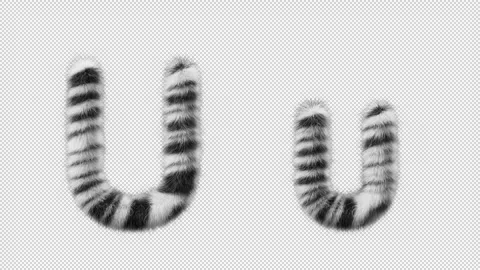 3D animation of a uppercase and lowercase Zebra woolen letter U Stock Footage 267289492