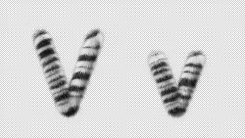3D animation of a uppercase and lowercase Zebra woolen letter V Stock Footage 267289847