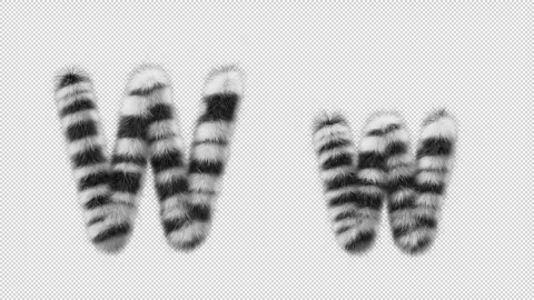 3D animation of a uppercase and lowercase Zebra woolen letter W Stock Footage 267290190