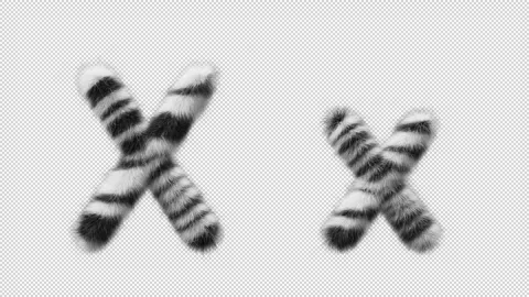 3D animation of a uppercase and lowercase Zebra woolen letter X Stock Footage 267290559