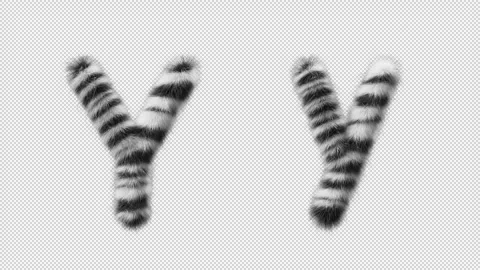 3D animation of a uppercase and lowercase Zebra woolen letter Y 스톡 동영상 267290888