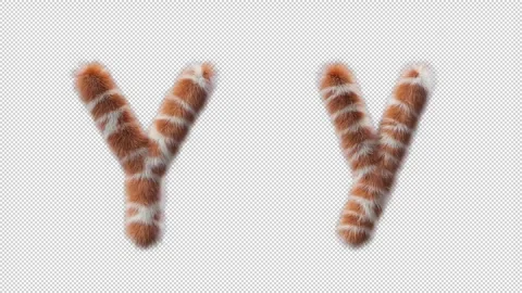 3D animation of a uppercase and lowercase Giraffe woolen letter Y 스톡 동영상 268712840