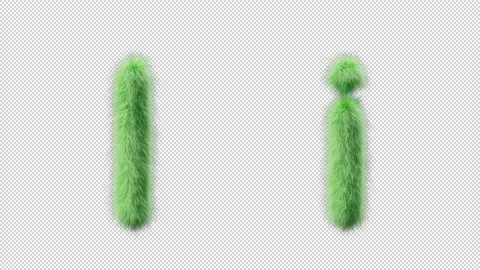 3D animation of a uppercase and lowercase grassy letter I 스톡 동영상 270534963