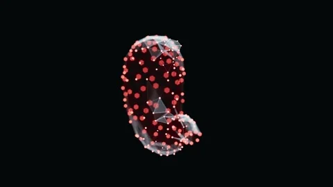 3d animation of a vibrant, low-poly stomach turn-table over dark background Video stock 316201317