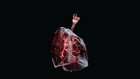 3d animation of a vibrant, low-poly lungs turn-table over dark background 스톡 동영상 316211294