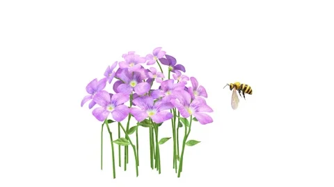 3D Animation Video - Bee and Purple Flowers Stock Footage 270731916