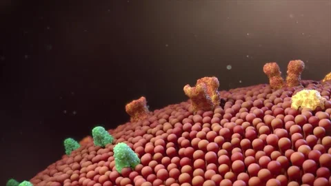 3D animation visualizing drug molecules traversing calcium channels Stock Footage 345199864